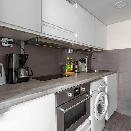 Wehost Vaasankatu Apartment